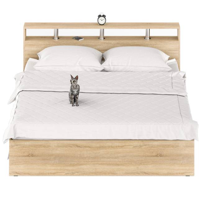 Кровать с ящиками Камелия 1800 цвет дуб сонома